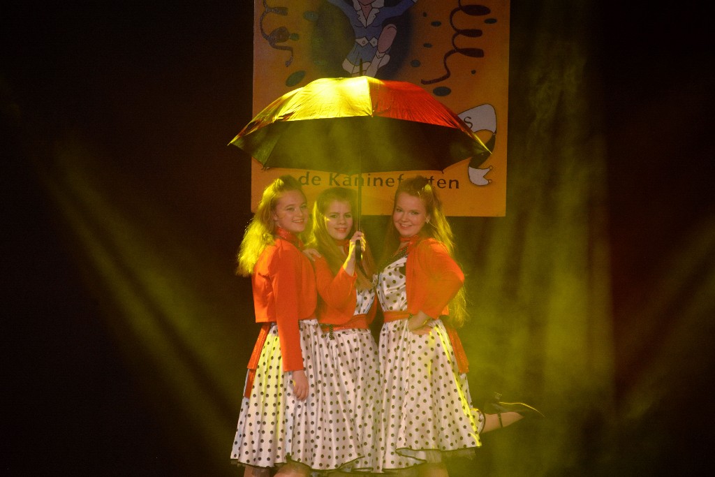 ../Images/Dansmariekefestival 2019 413.jpg